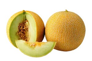 MELON-GALIA